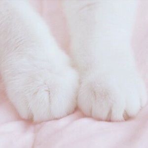 Meet your Posher, Da young